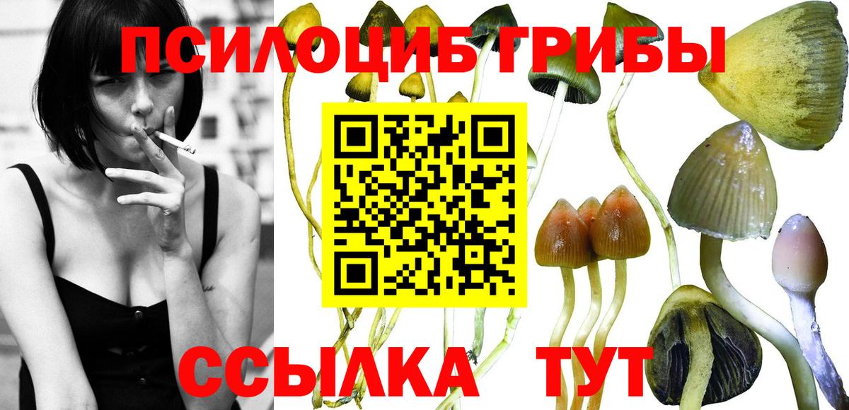 Галлюциногенные грибы MAGIC MUSHROOMS Нарьян-Мар