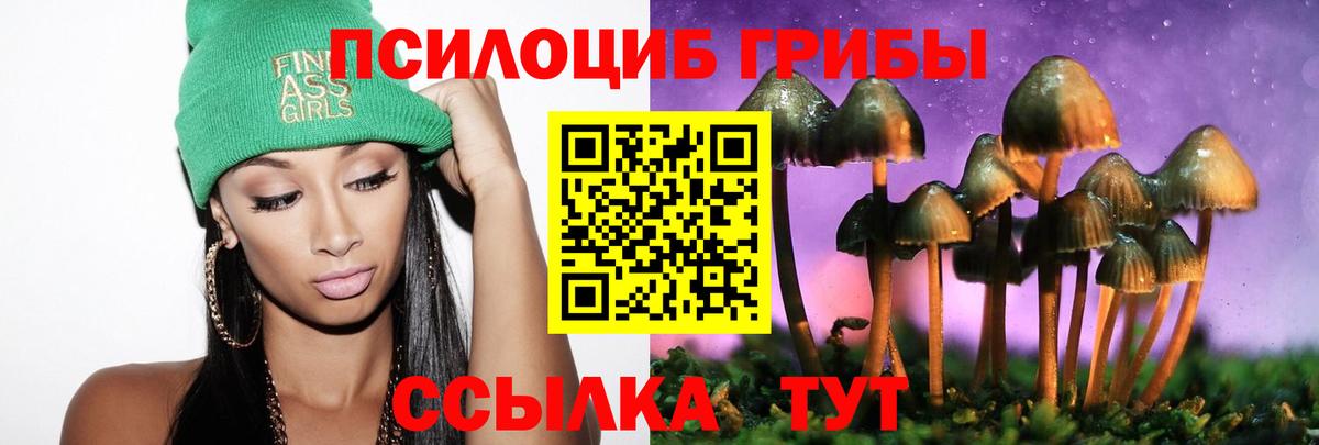 Псилоцибиновые грибы мухоморы  Вход с VPN  Нарьян-Мар 